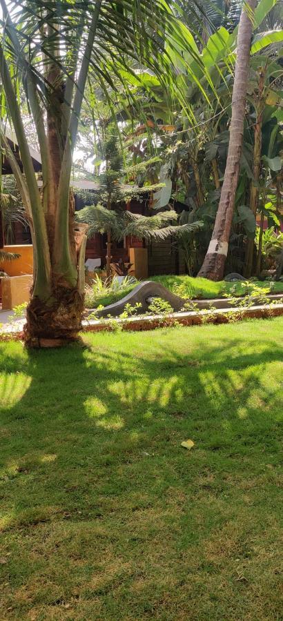 Tattvam On The Beach - Retreat And Spa Arambol Extérieur photo