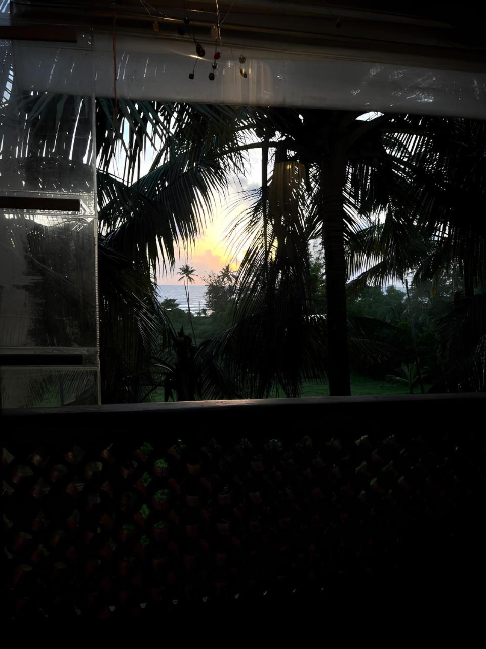 Tattvam On The Beach - Retreat And Spa Arambol Extérieur photo